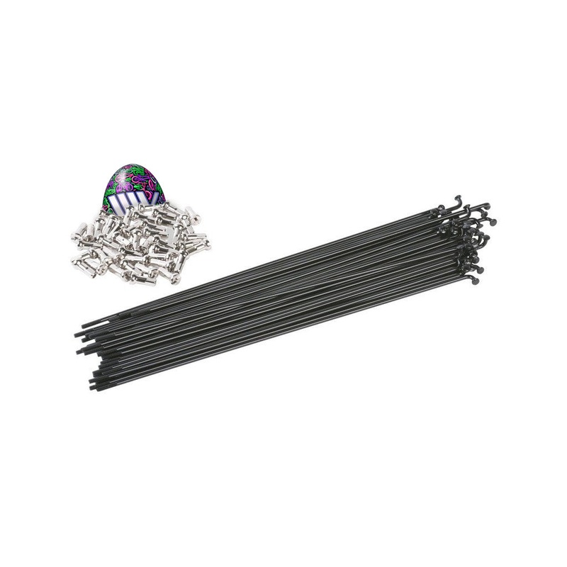 Odyssey HGS Spokes and Nipples (40 Pack) Black 182mm